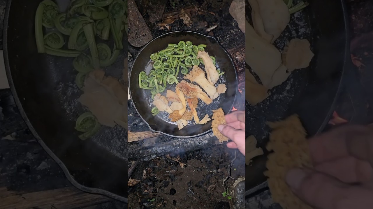 Foraging and cooking Ostrich Fern fiddleheads with morels