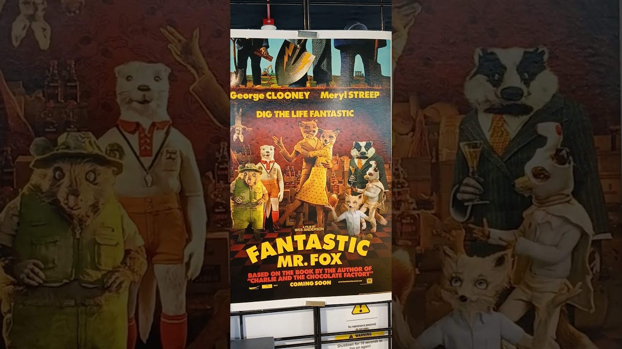 #fairyliberationfront Fantastic Mr Fox #roalddahl #puffinshops #collectiblesmarket 5-15-25 1:07 pm