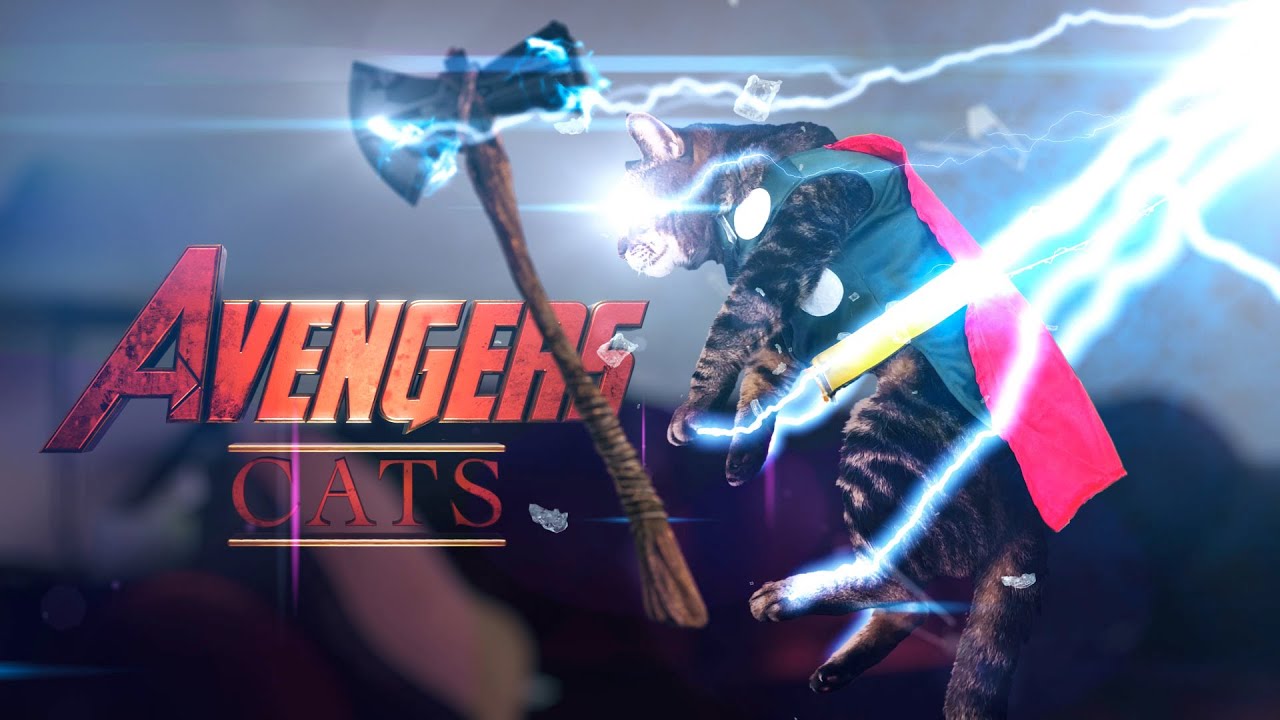 Avengers Cats