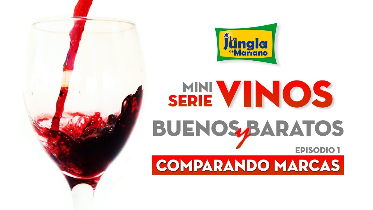 Vinos Buenos y Baratos 🔴 Comparando Marcas ▶️ Episodio 1