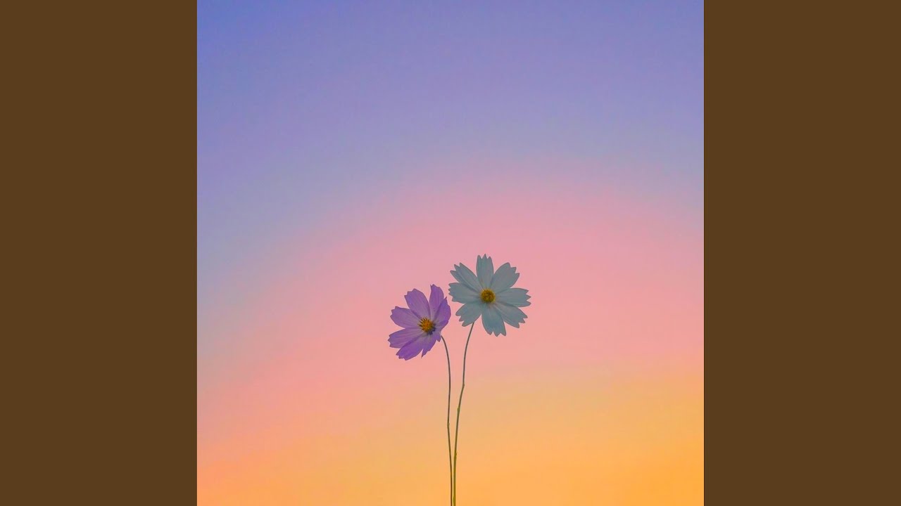 Flower Dance (Lofi)