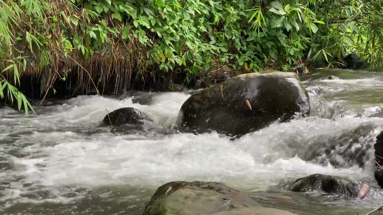 Tidur Nyenyak dengan Suara Sungai ASMR 20 #sungai #relaksasi #asmr 