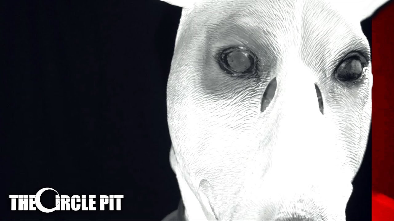 burnface - FOE (Official Music Video) Groove Metal / Djent | The Circle Pit
