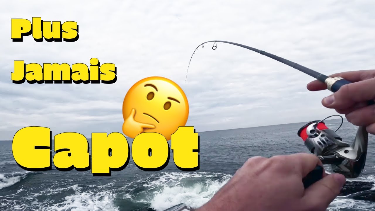 Comment p&ecirc;cher le sar en iso fishing en Bretagne + recette traditionnelle