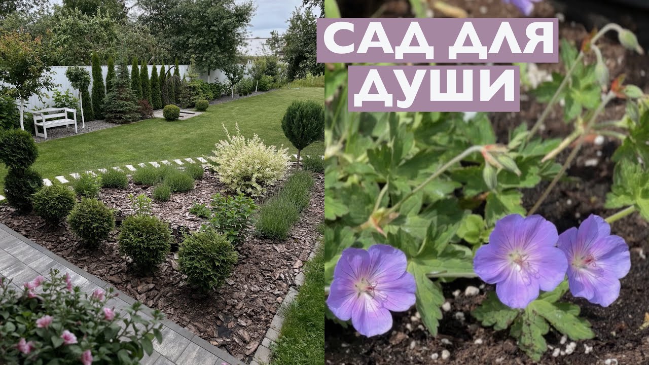 МОЙ САД 🏡 ОБЗОР ЦВЕТНИКА 🌿 НОВЫЕ КАШПО |  ДЕРЕВЯННЫЙ ВАЗОН СВОИМИ РУКАМИ