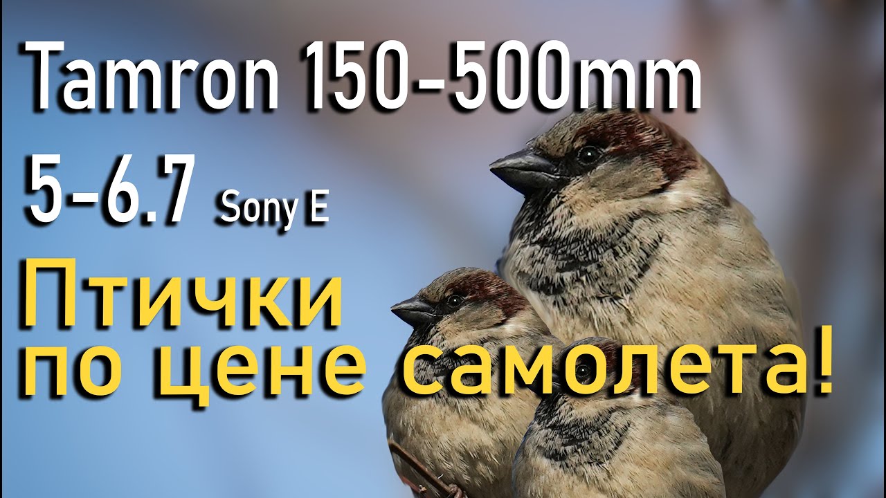 ПТИЧКИ ПО ЦЕНЕ САМОЛЕТА! Обзор Tamron 150-500mm 5-6.7 vc sony e