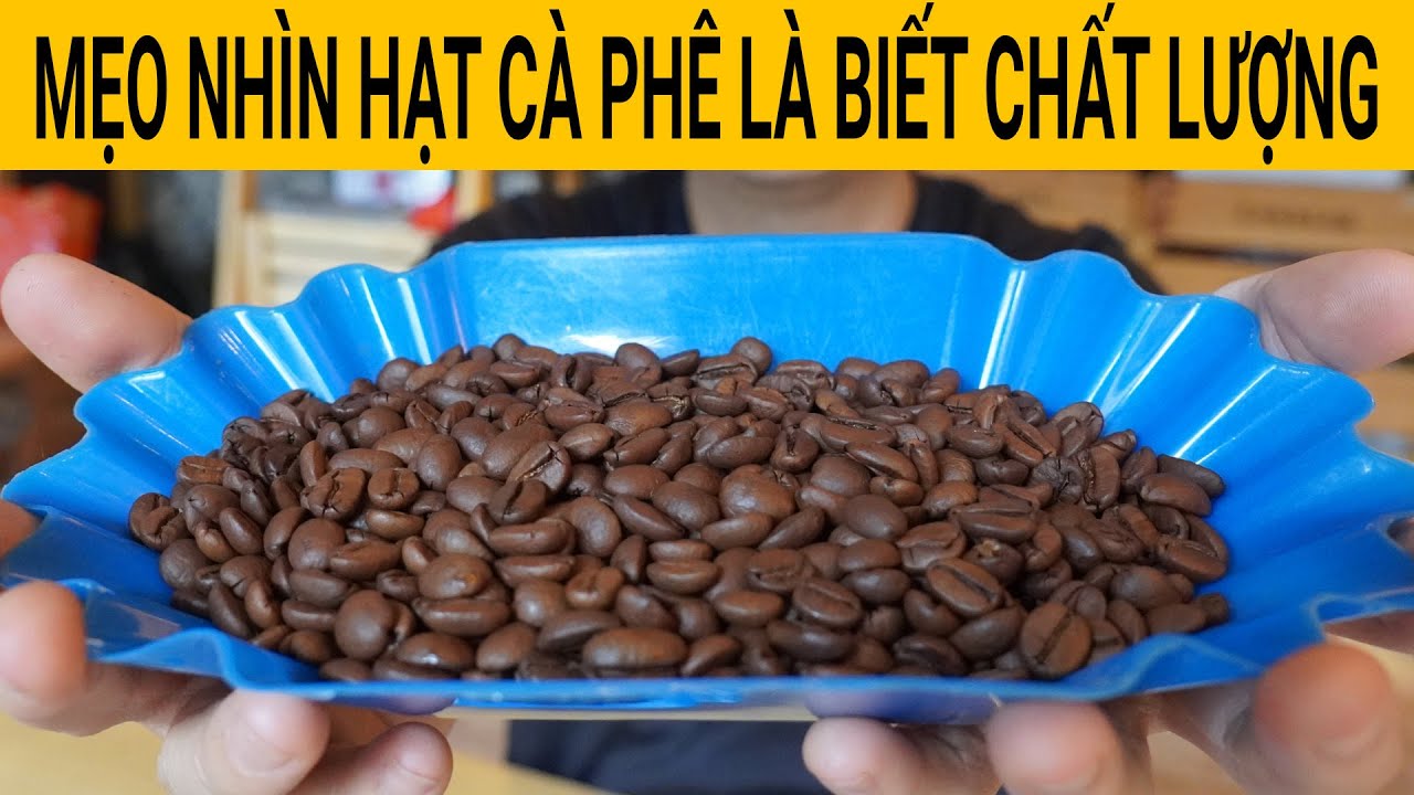Đ&aacute;nh gi&aacute; C&Agrave; PH&Ecirc; HẠT chỉ cần để &yacute; những MẸO n&agrave;y