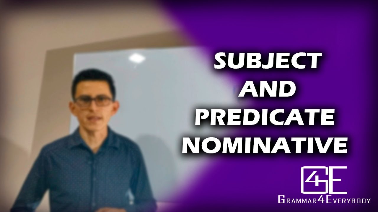 FUNCTIONS OF NOUNS: NOUNS AS SUBJECT AND PREDICATE NOMINATIVE
