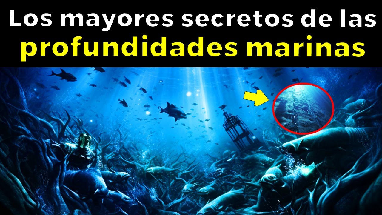 25 Misterios De Las Profundidades Marinas que te harán dudar de todo