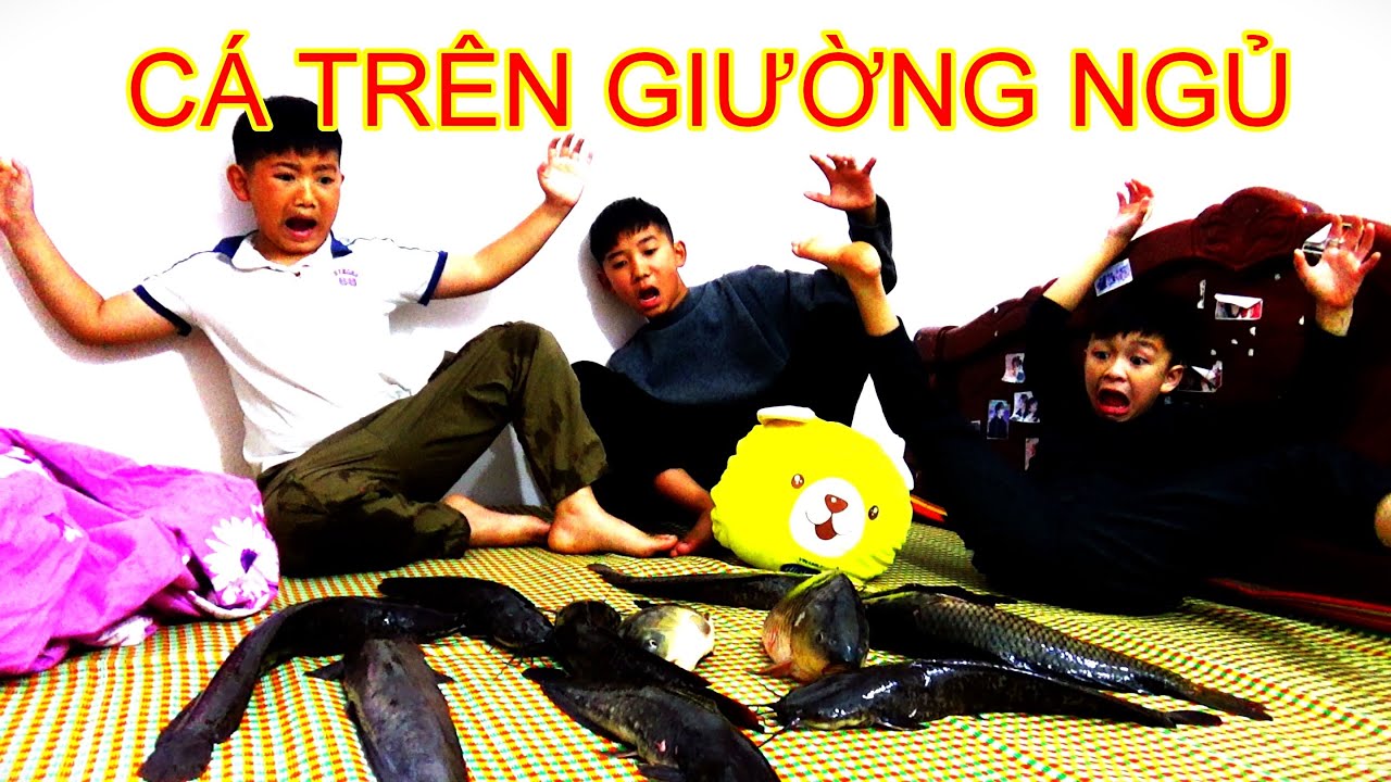TIỂU BẢO VLOG ( TẬP 20) CÁ TRONG GIƯỜNG NGỦ