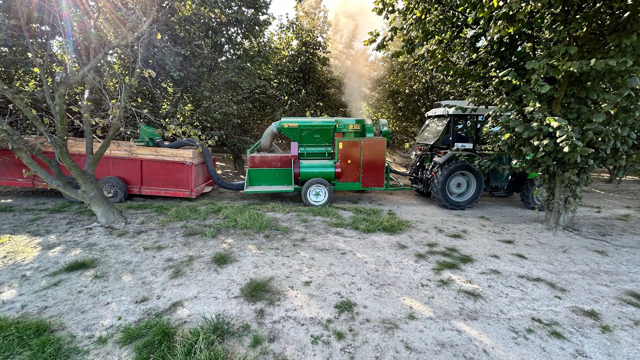 Zbieranie orzechów laskowych kombajn Facma Cimina  300 Harvest Żniwa Deutz Fahr Agro Plus Leszczyna