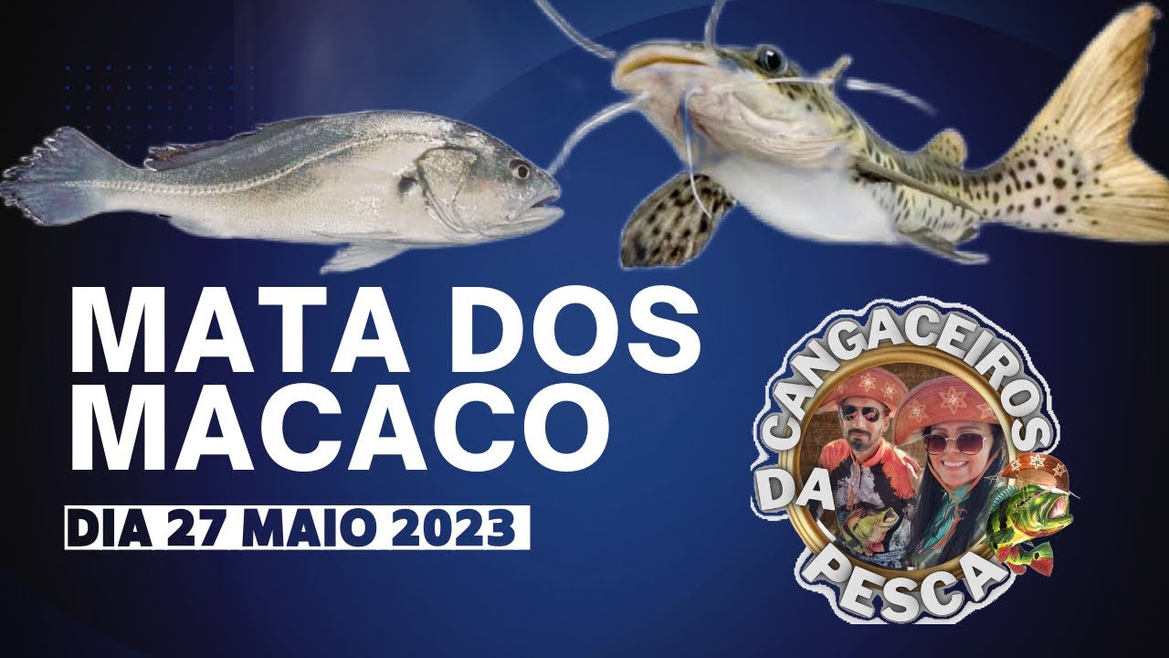 Pescaria no rio grande mata dos macaco batelão 1 #pescaria #fishing