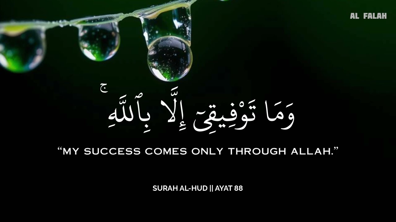 أرح سمعك.. تلاوة هادئة تريح القلب والعقل💚🩷😴 | ساعة كاملة🕛🎧 القارئ محمد هشام | Mohamed Hesham