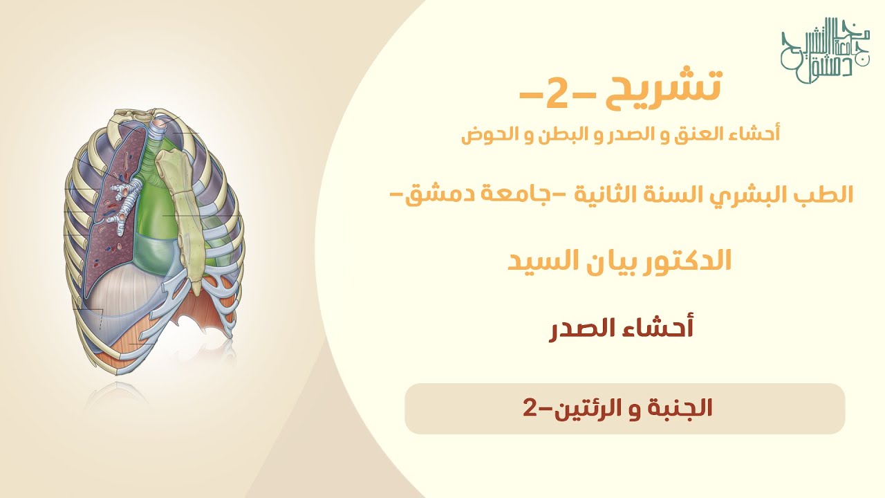 تشريح 2 | الجنبة و الرئتان | د.بيان السيد