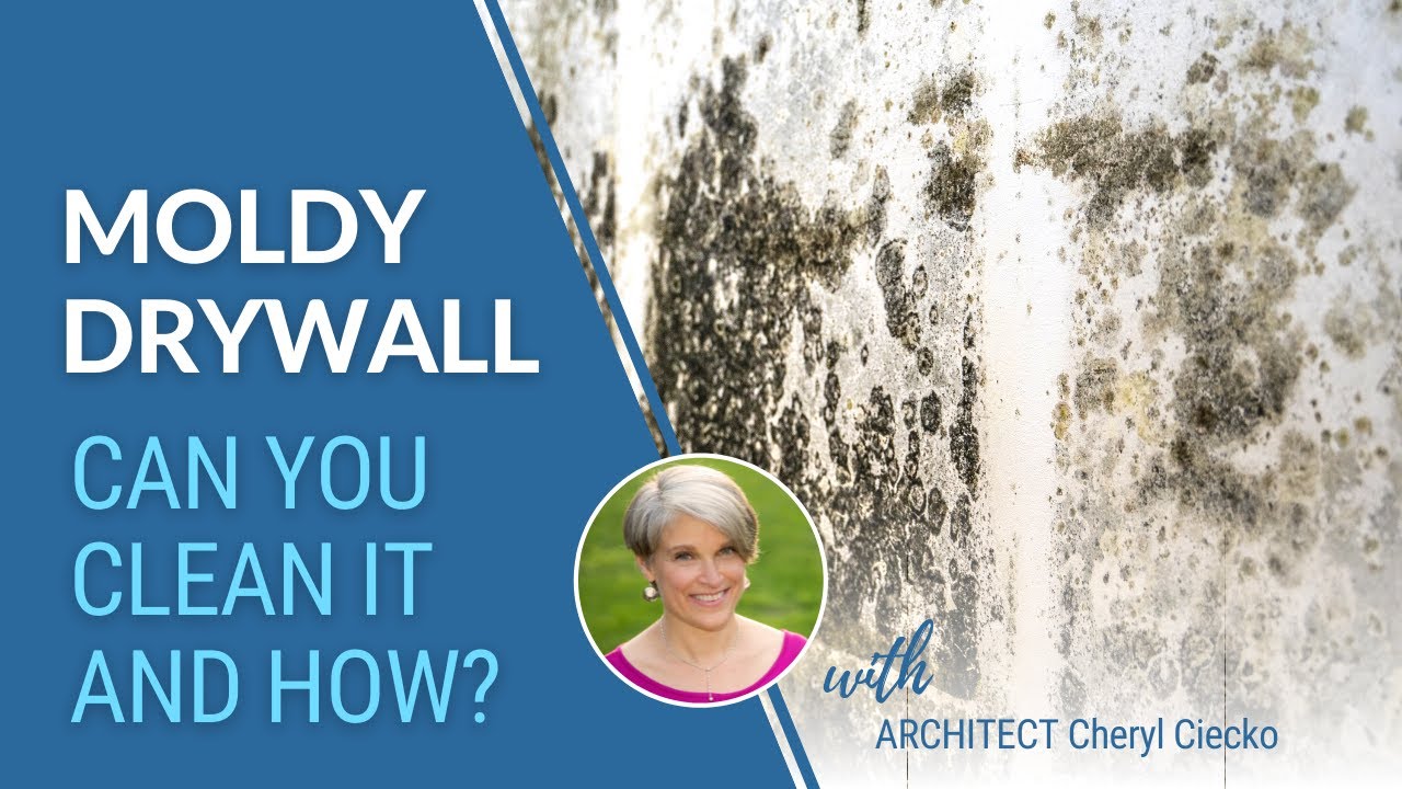 Mold On Drywall Can It Be Cleaned? EP 32 Building Well & Preventing Mold