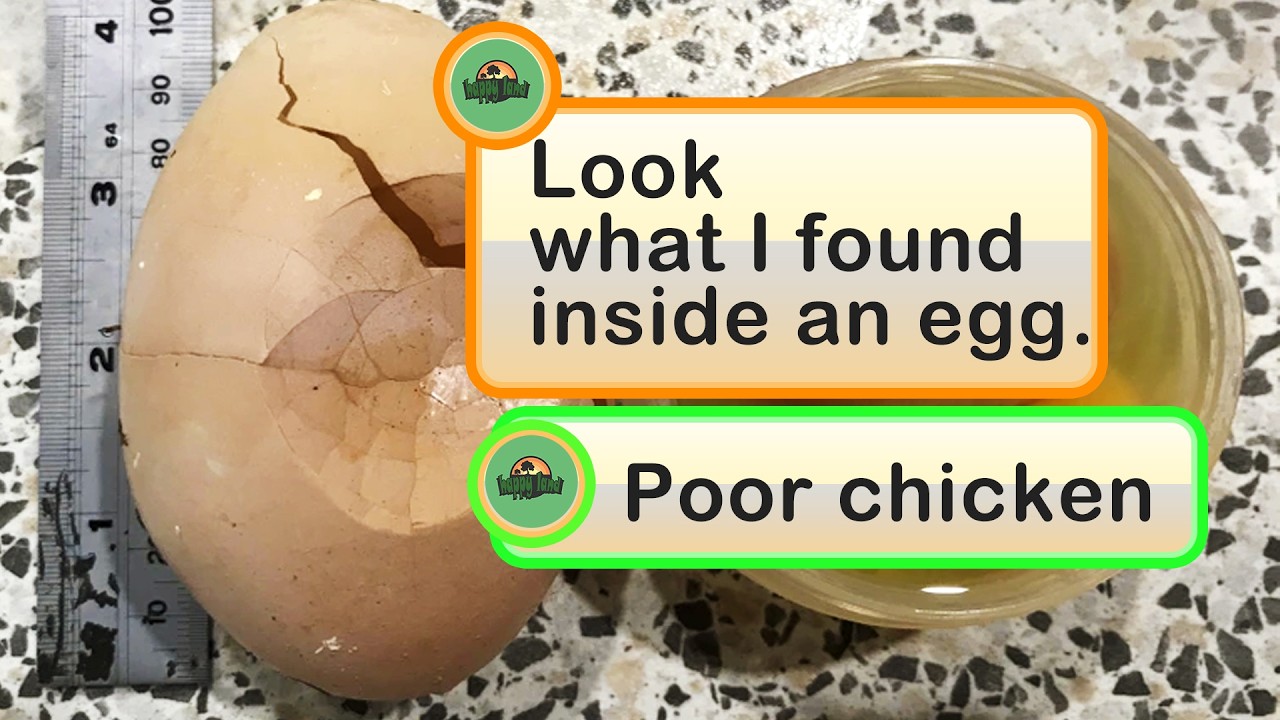 People Shared Fascinating Photos Showing the Insides of Things We Rarely See