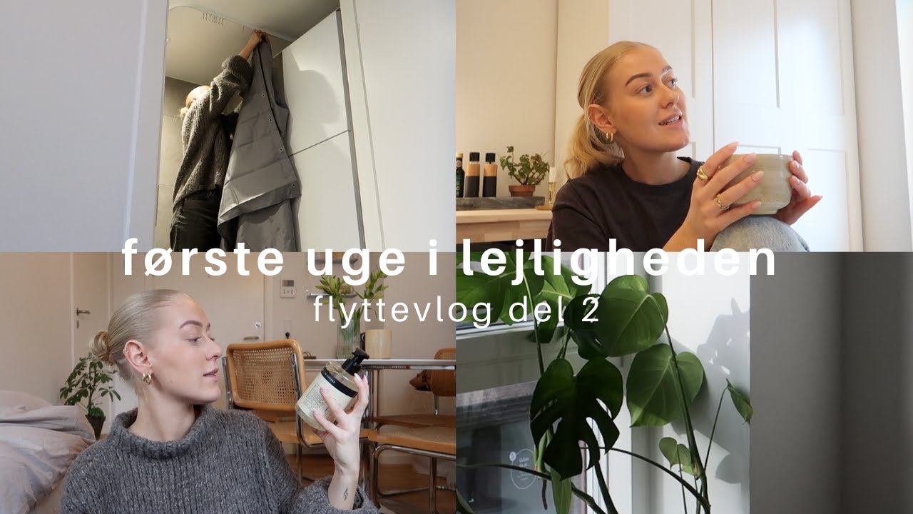 FLYTTEVLOG DEL 2