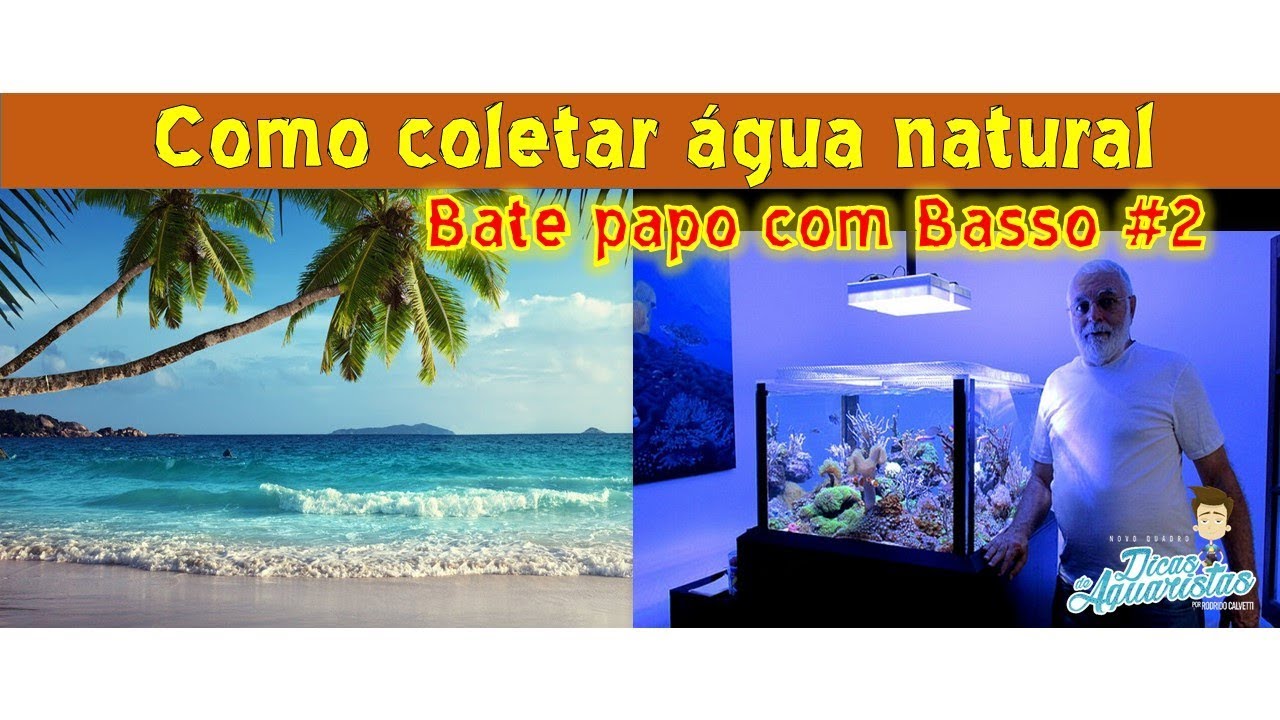 Aquário marinho, coletando água natural método Basso
