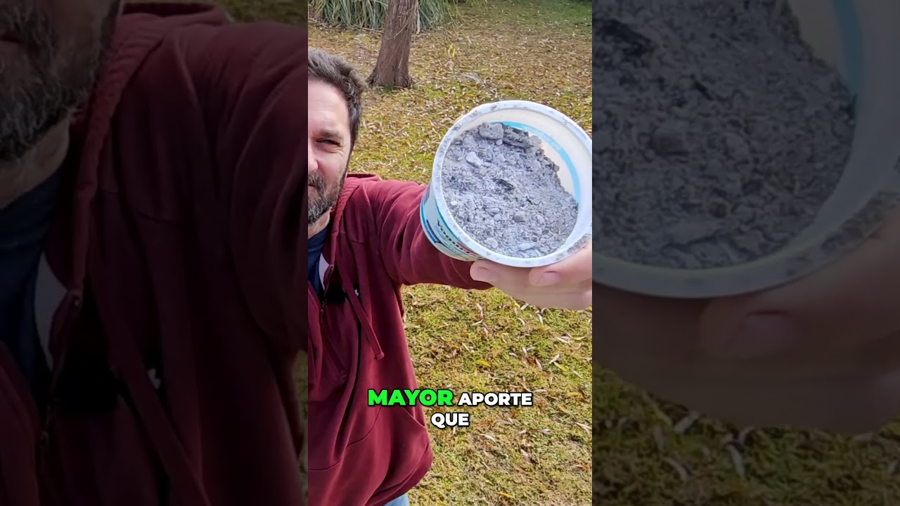 Ceniza en el jardín  ¡el secreto del potasio para plantas!
