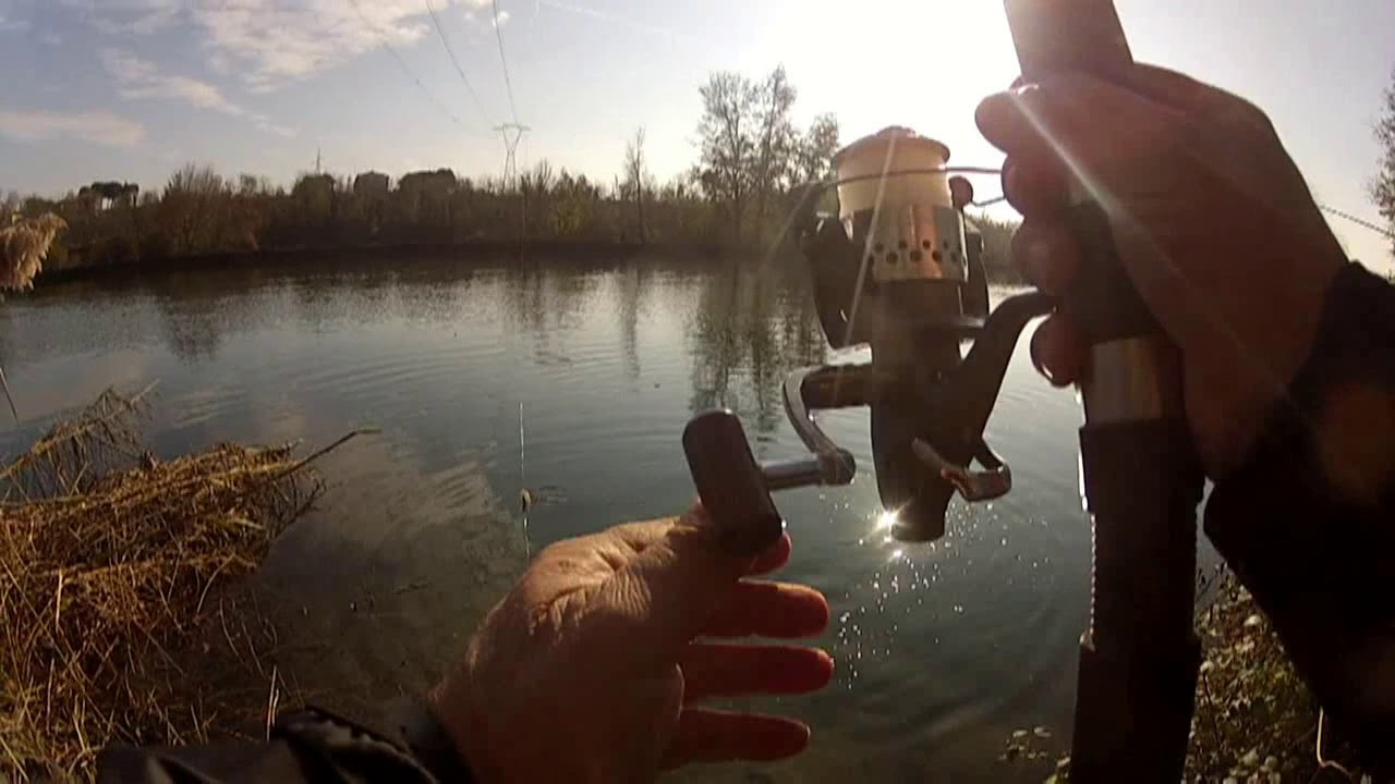 Sul fiume Oglio con il feeder fishing