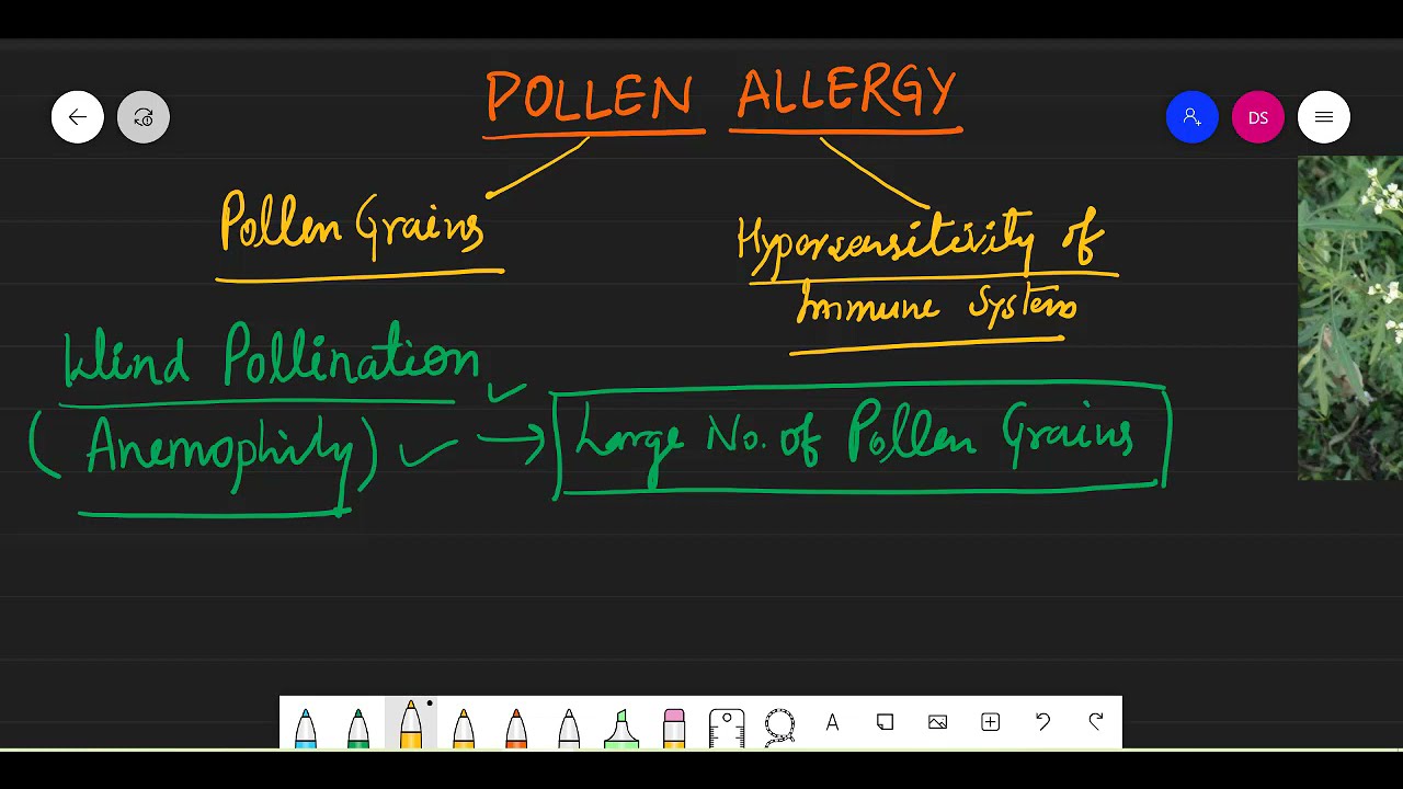 Pollen Allergy | Sexual Reproduction in Flowering Plants | 12 Biology #pollenallergy
