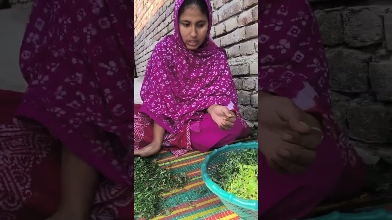 মেঘনার বাড়িতে মাংস খেয়ে বাড়িতে আর ইচ্ছে করছে না খেতে,,,