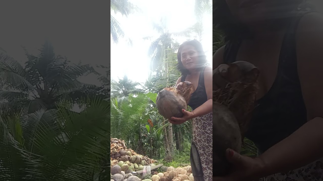 Pagbunot an ngaran Didi sa amo sin 