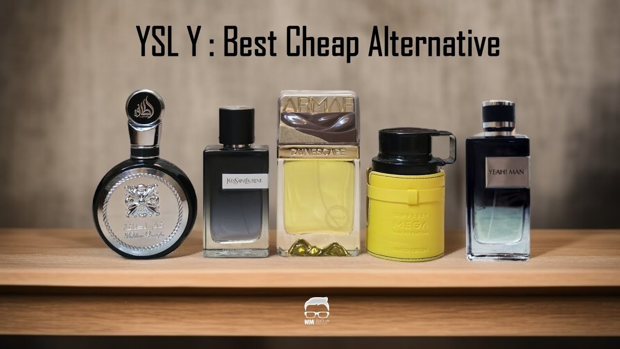 YSL Y: Best Cheap Alternative 