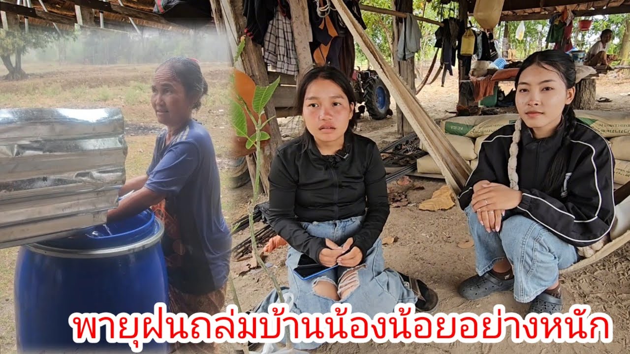 ซื้อต้นมะม่วงมาให้น้องน้อยแต่พายุฝนถล่มอย่างหนัก🌧️🥹 5 มีนาคม ค.ศ. 2026