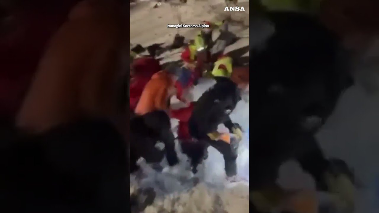 Salvataggio estremo per Colmar, il cane ritrova l'escursionista sepolto nella neve #ansa #news