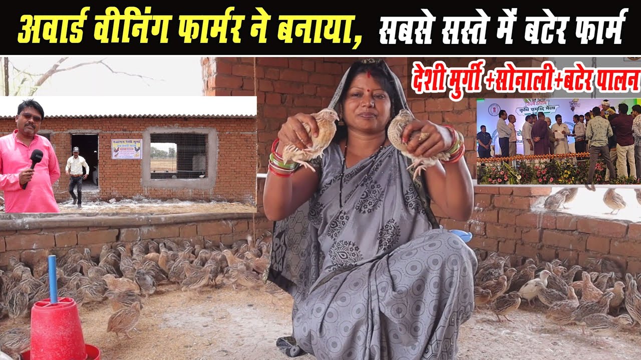 । Deshi murgi+Sonali+Bater Farming।‌ अवार्ड वीनर फार्मर ने बनाया ,सस्ते में बटेर फार्म शेड।