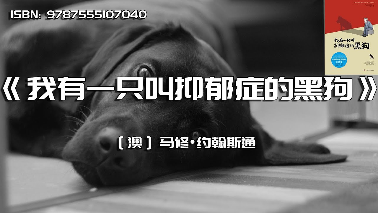 《我有一只叫抑郁症的黑狗》