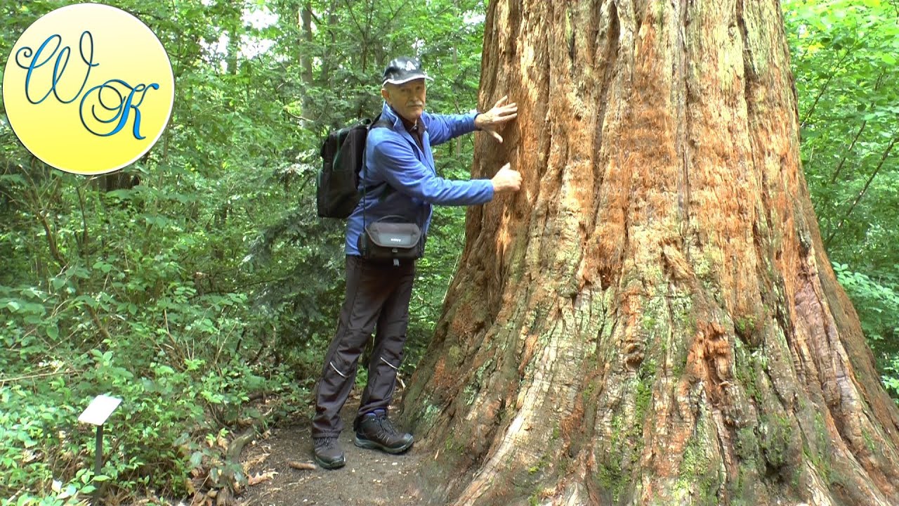 Forstlicher Versuchsgarten Grafrath - Weltwald