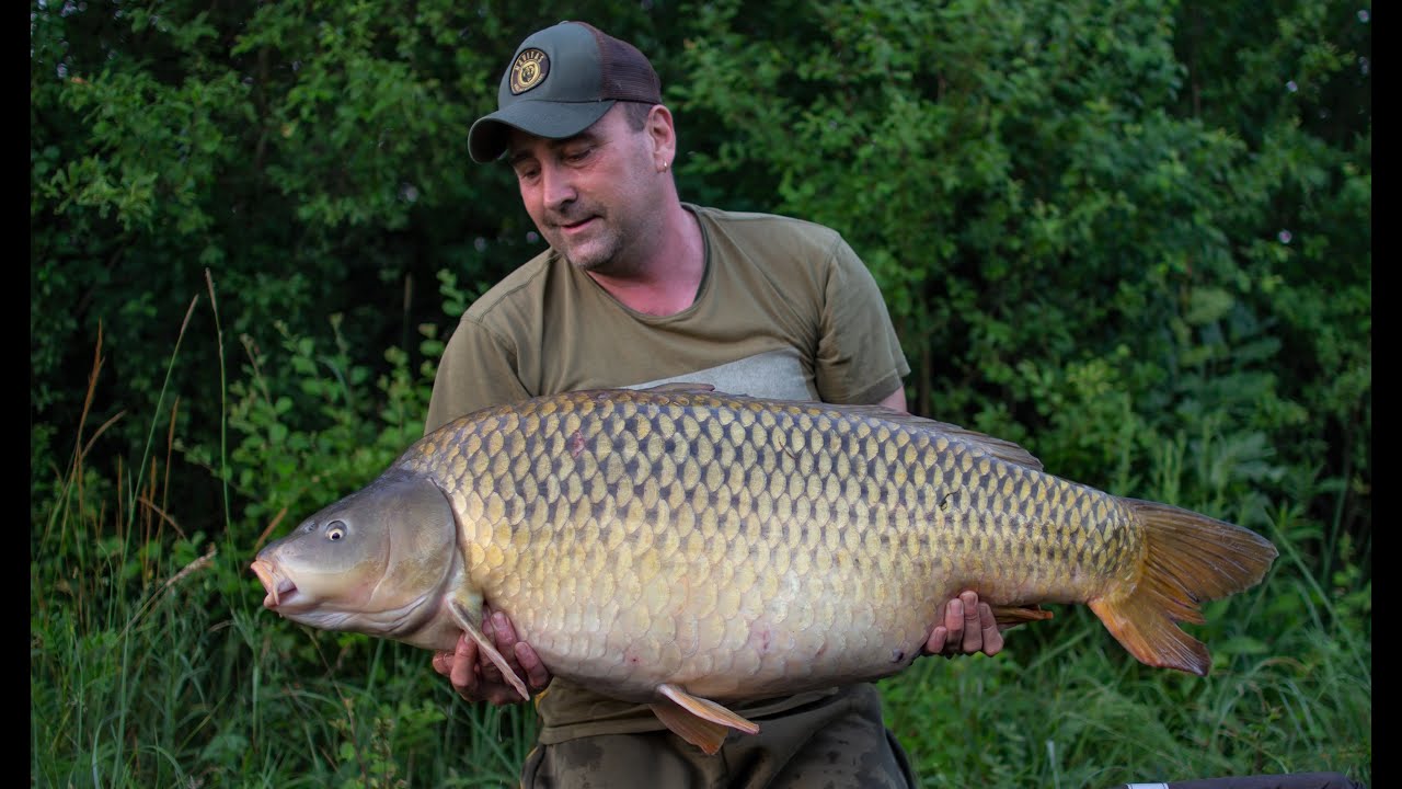 Canal carp fishing