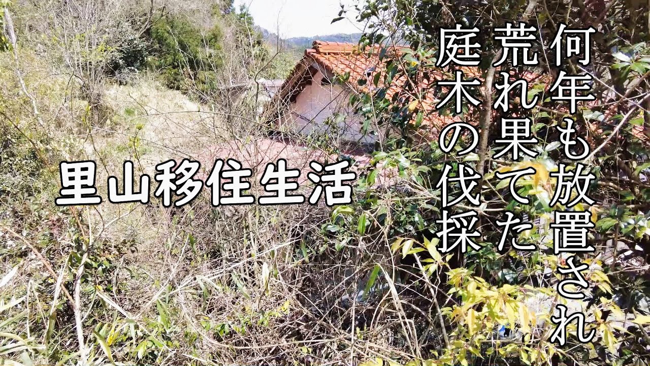 荒れた庭木で湿気がこもり最悪！！『里山移住生活』