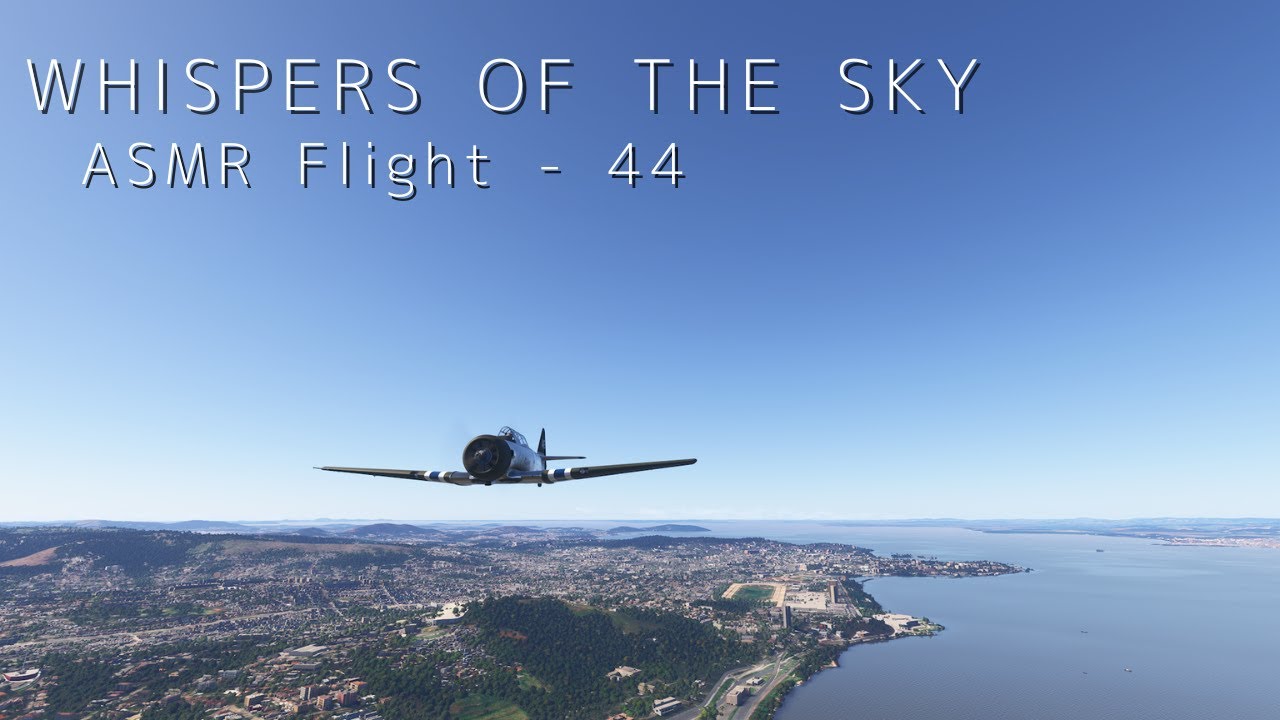 ASMR Flight | T-6 Texan over Porto Alegre, Brazil (No Commentary)