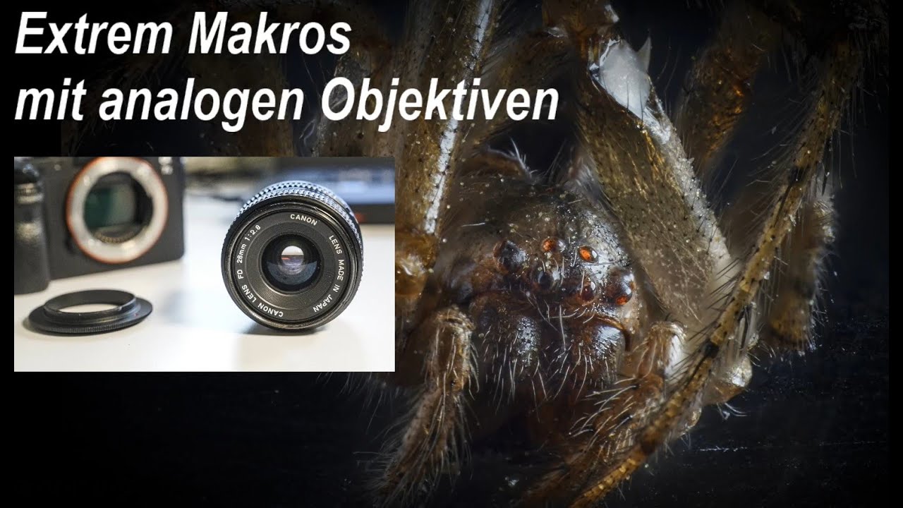 Extrem Makros mit analogen Objektiven