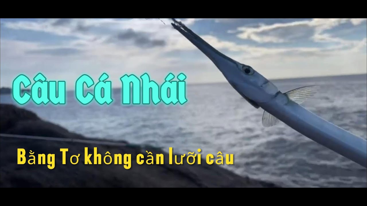 Câu Cá Nhái Bằng Tơ không Cần Lưỡi Câu