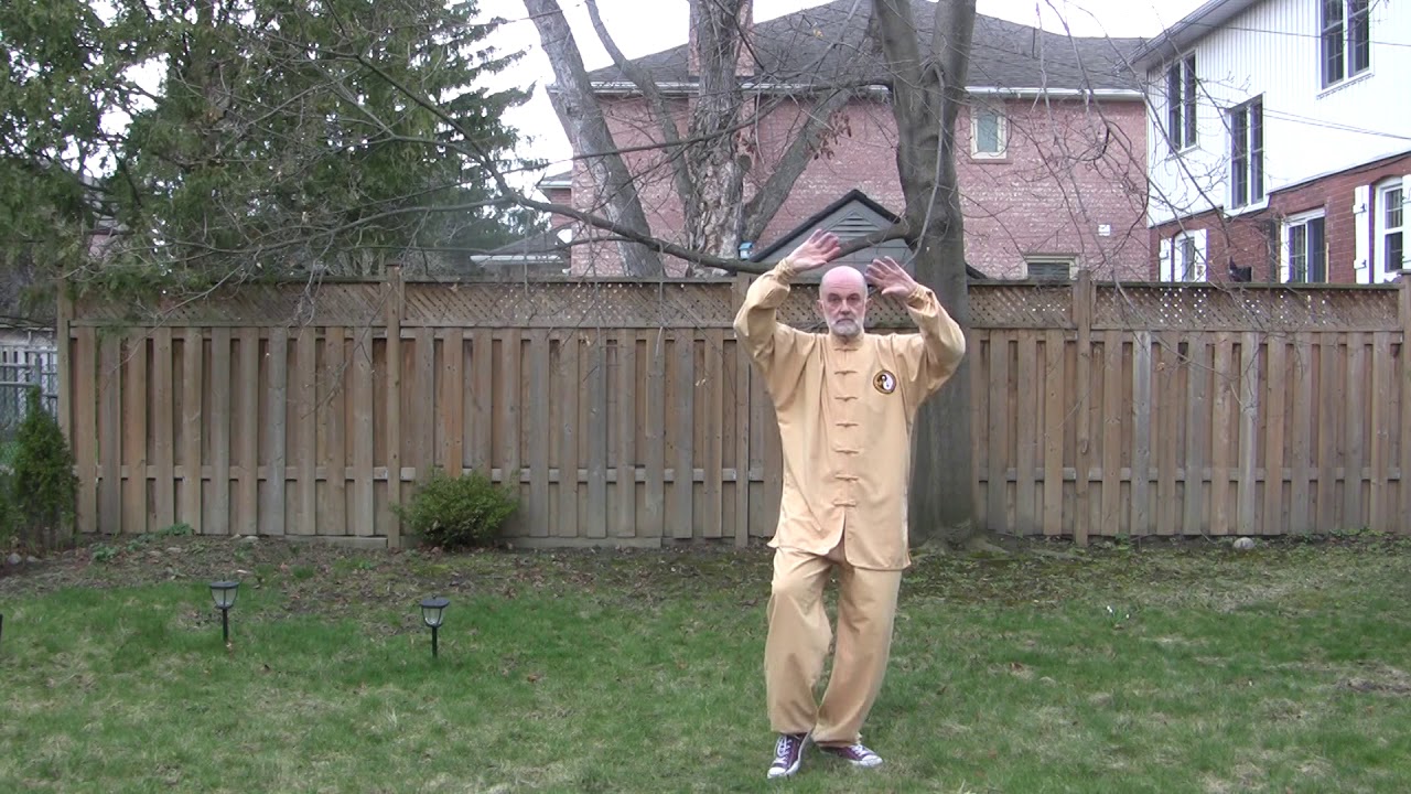 Learn Wu Style Tai Chi #6 - Seven Stars