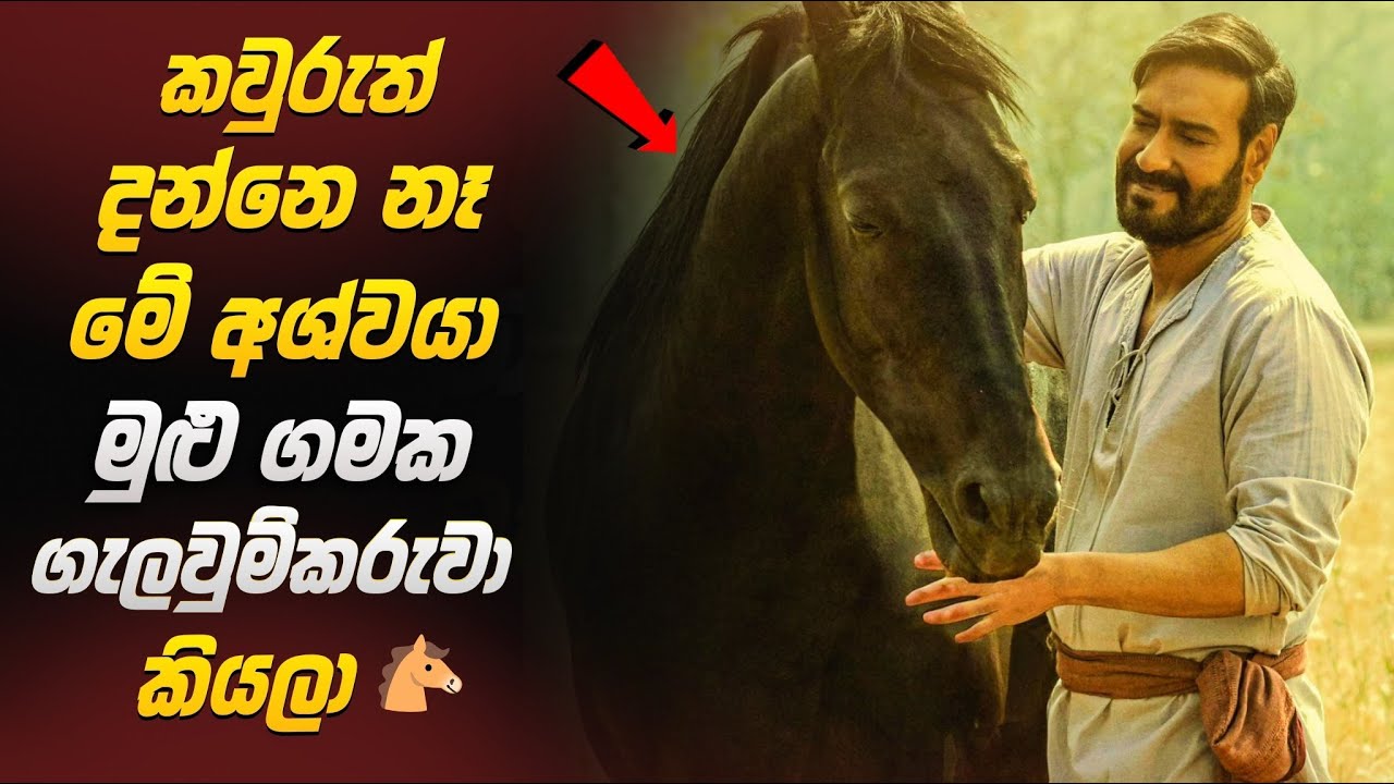 කවුරුත් දන්නෙ නෑ මේ අශ්වයා මුළු ගමක ගැලවුම්කරුවා කියලා (2025 New)| Movie Sinhala Explanation