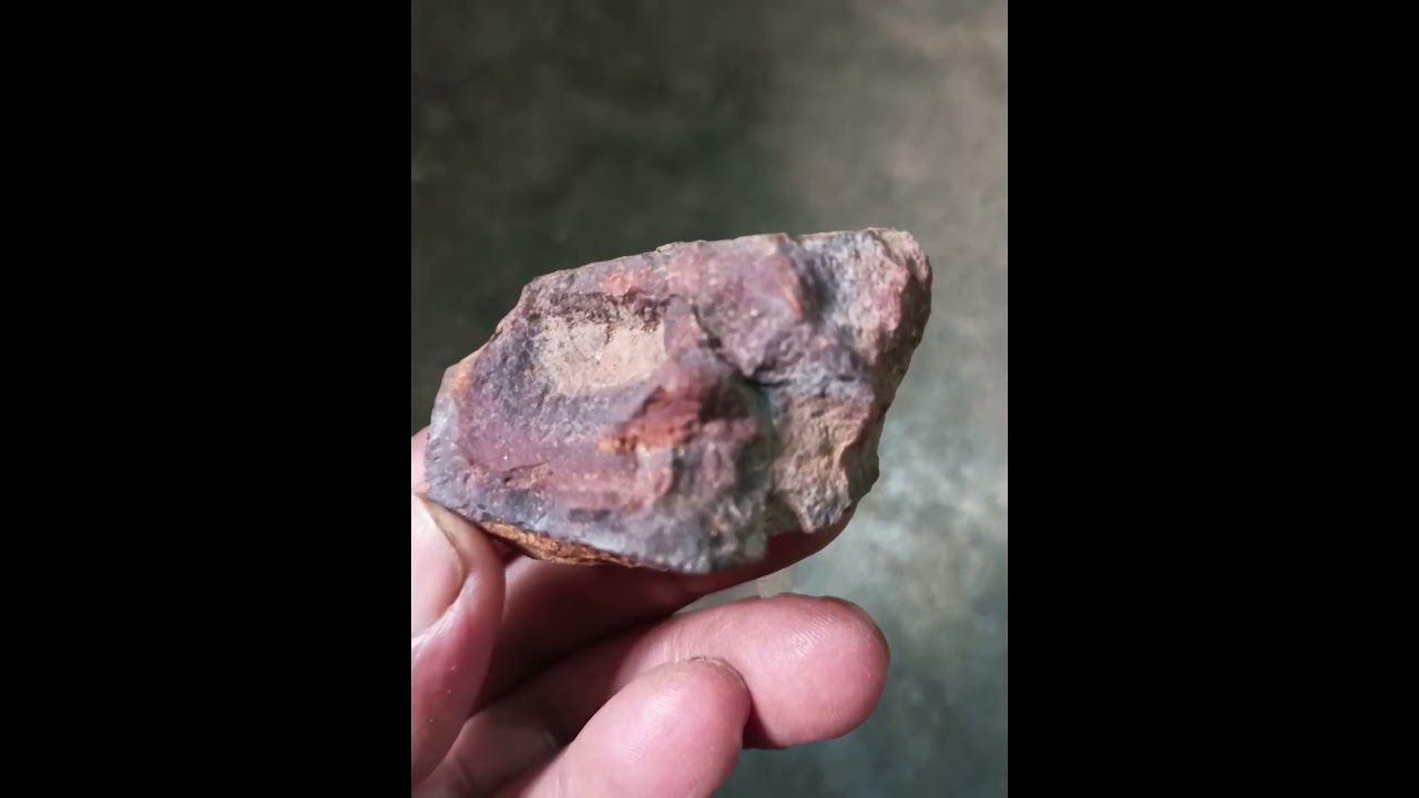 METEORITE COLLECTOR.