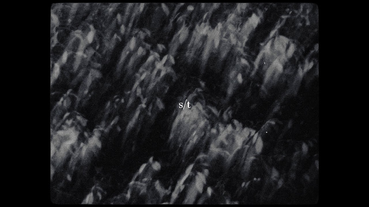 palmeras negras - s/t (complete album visualizer)