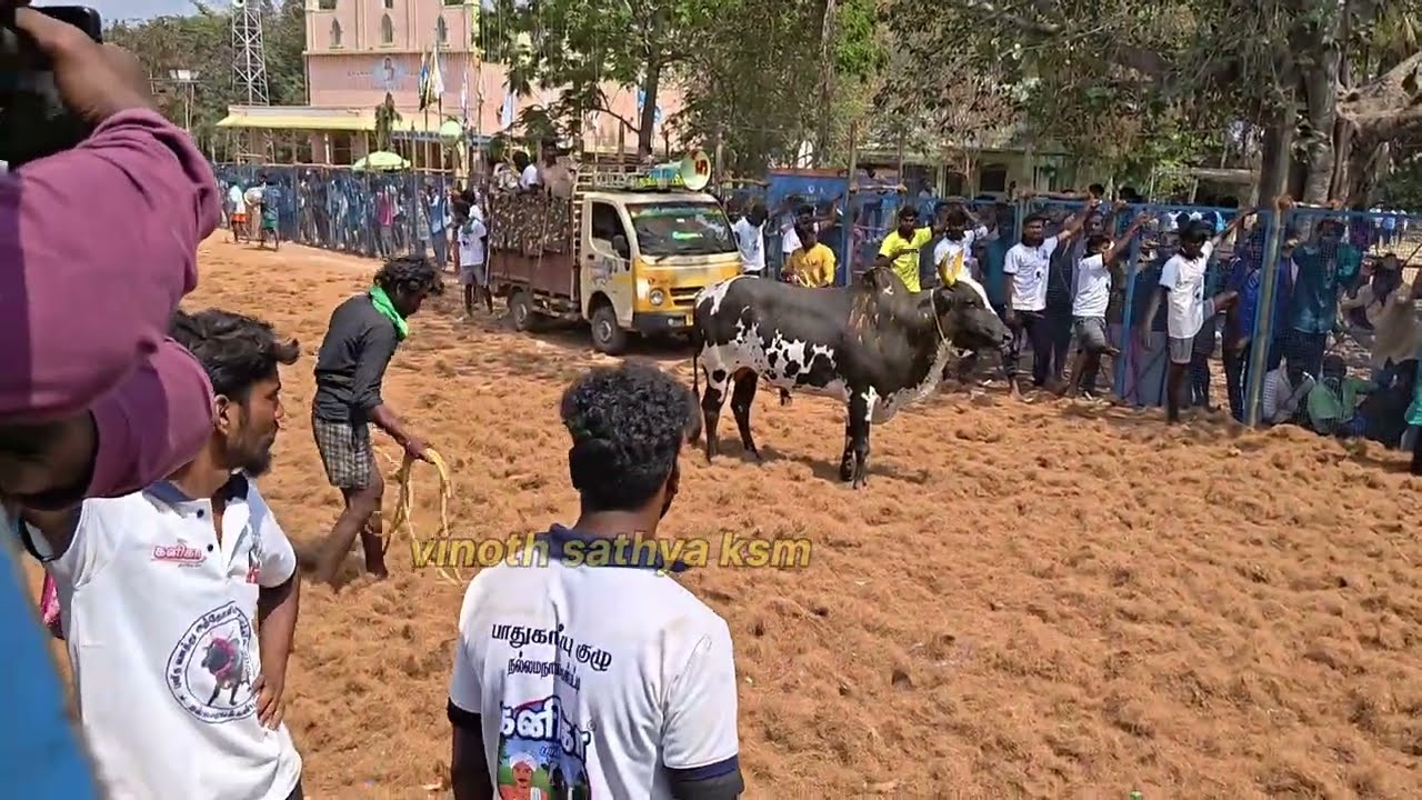 நல்லமநாயக்கன்பட்டி ஜல்லிக்கட்டு  13 2 2026