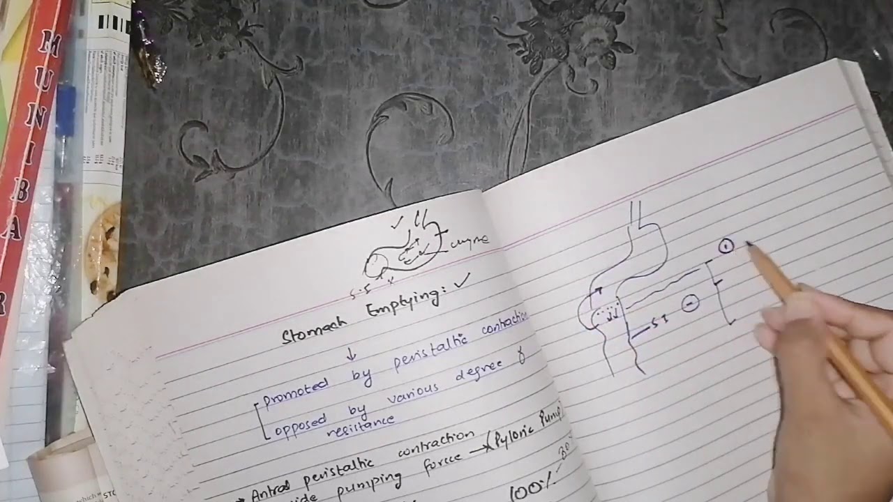 Stomach Emptying, guyton 64 part 5, #gitphysiology