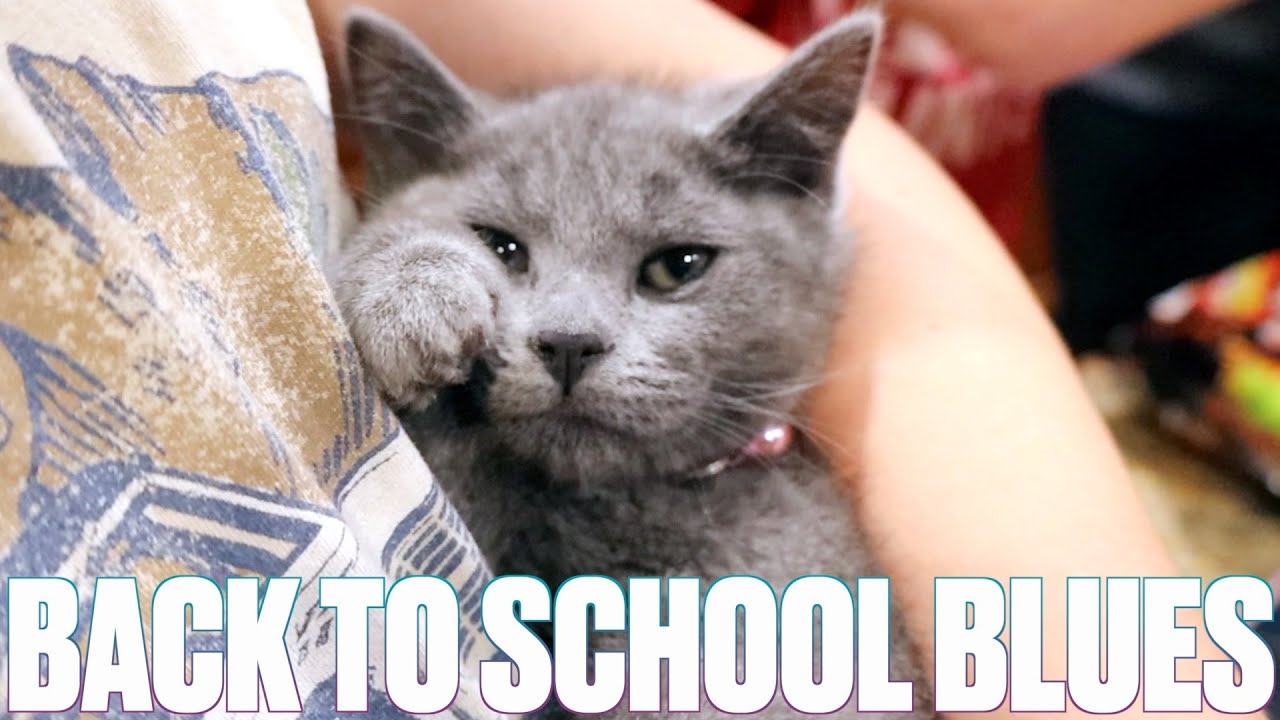 FIRST DAY OF SCHOOL | BACK TO SCHOOL 2026