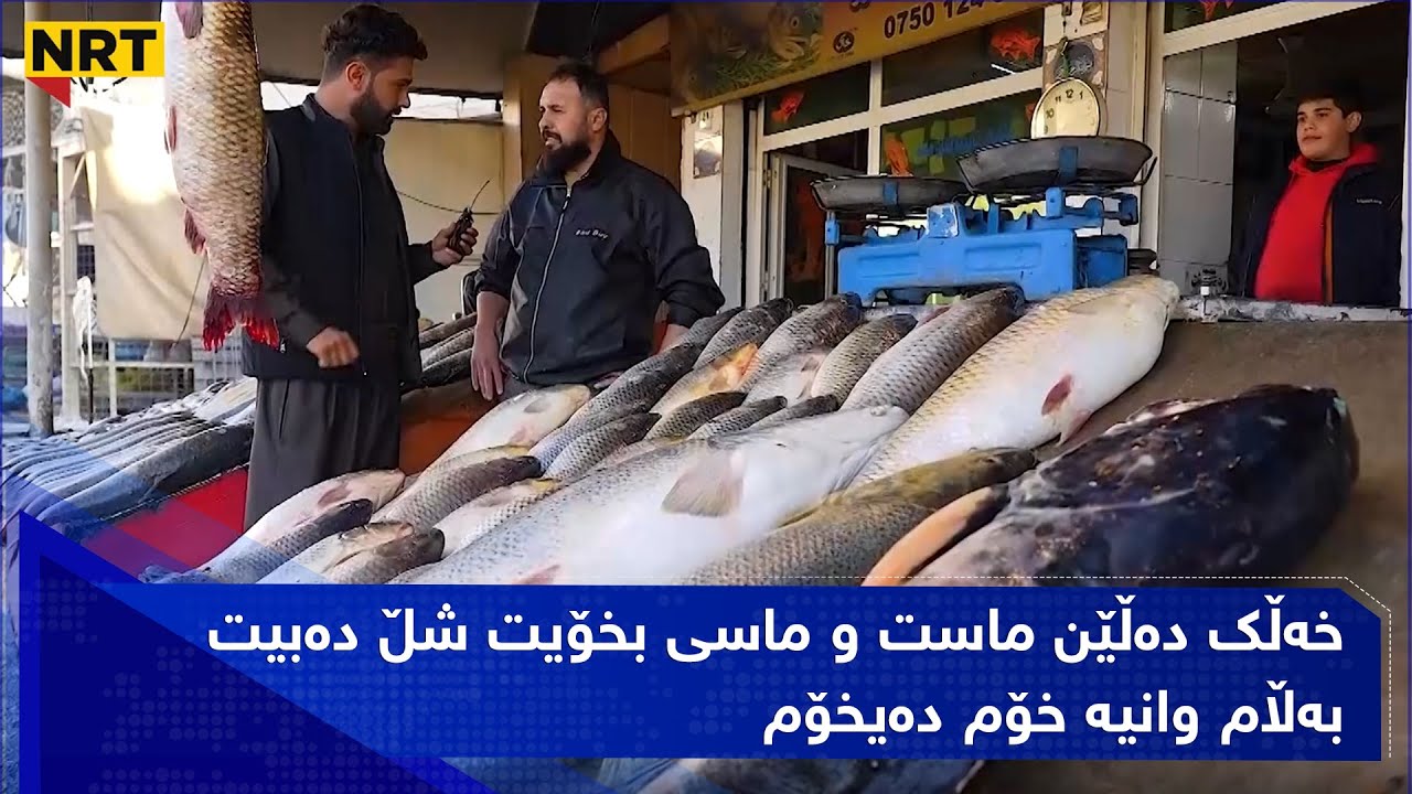 ماسی بزە و ڕەقە دەفرۆشێت و دەڵێت: خەڵک دەڵێن ماست و ماسی بخۆیت شڵ دەبیت بەڵام وانیە خۆم دەیخۆم
