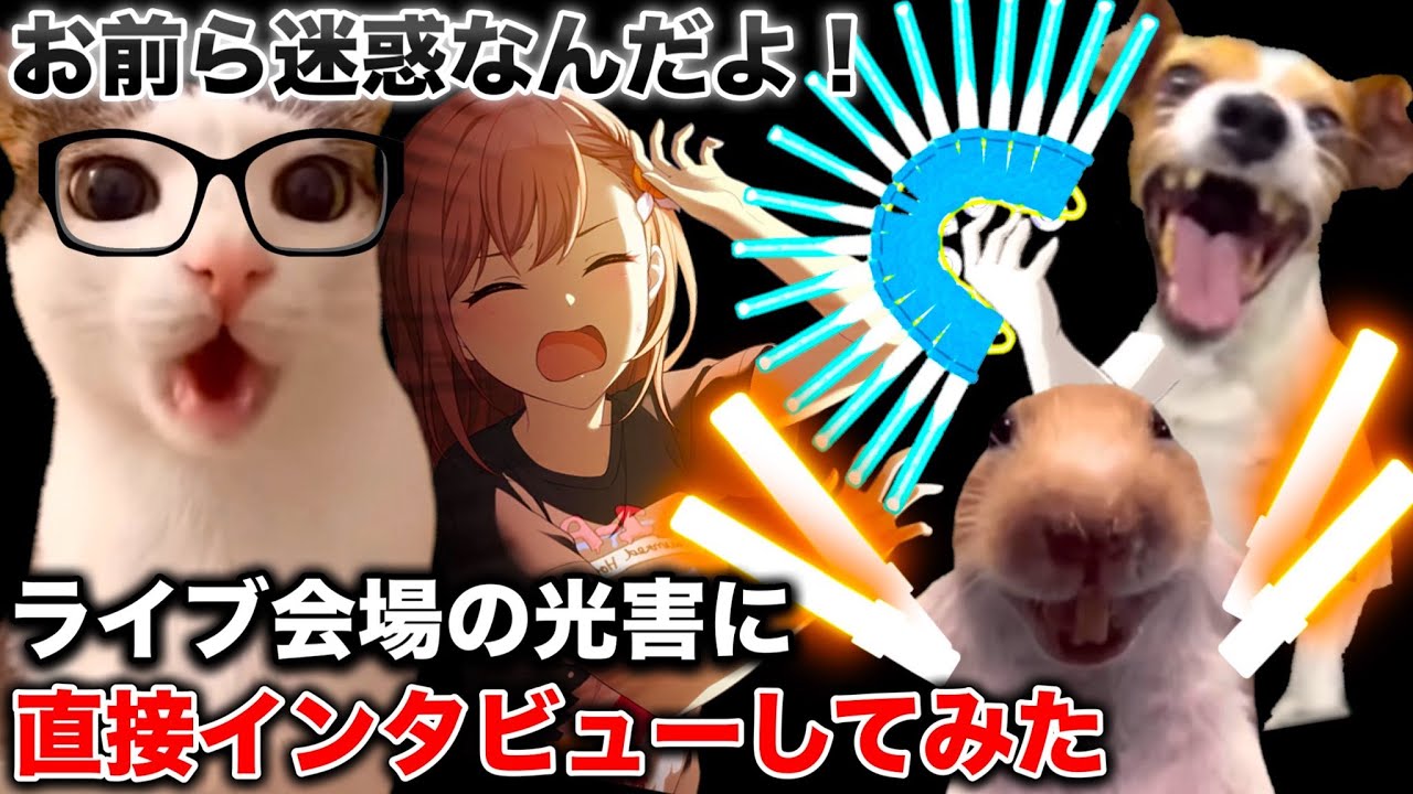ライブ会場の光害オタクに、どんな感情でやってるのか聞いてみたら衝撃の回答が返ってきた…【猫ミーム】 #猫マニ #猫ミーム