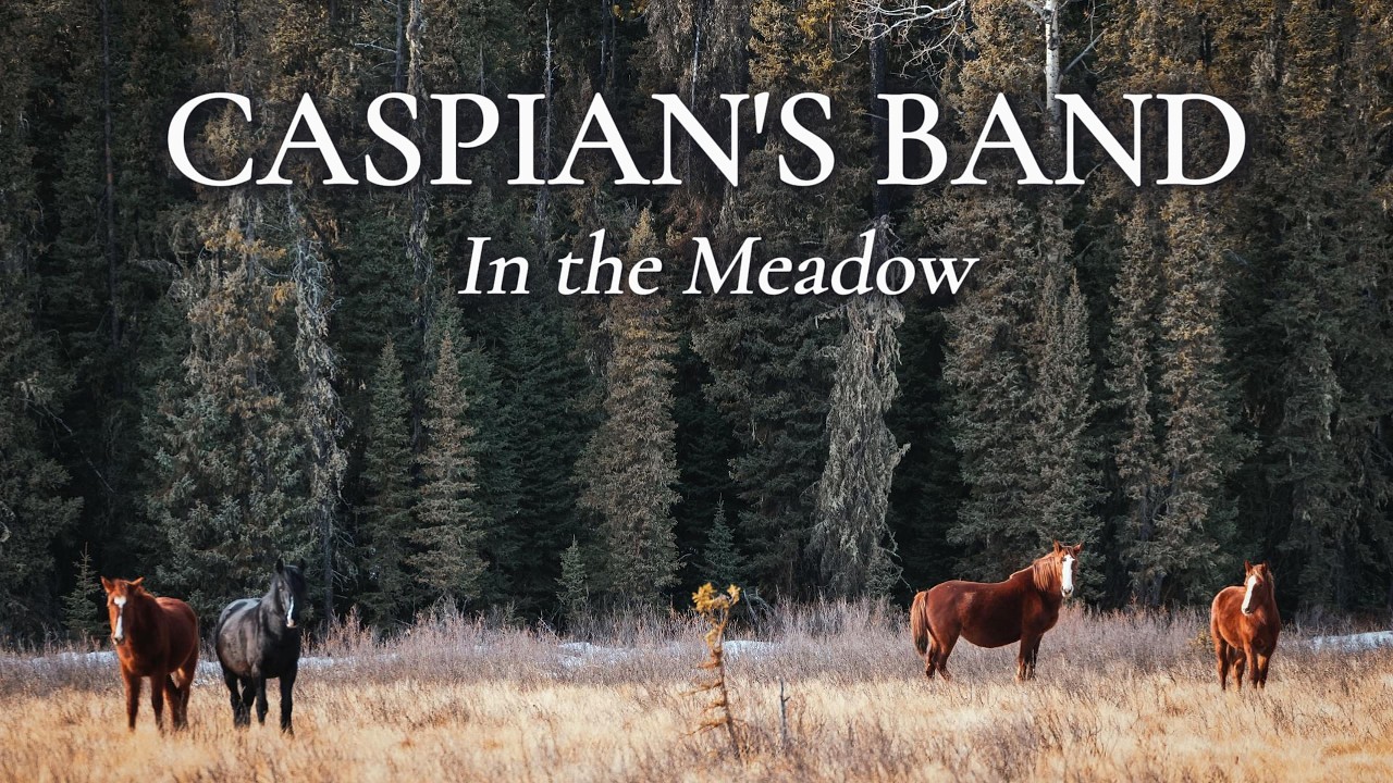 Caspian’s Wild Band in the Meadow | Two Foals, Calm & Curious | Alberta's Wild Horses