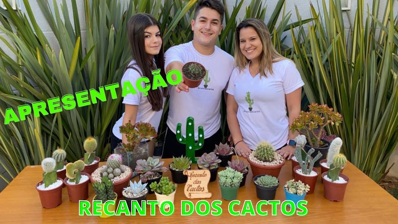 APRESENTA&Ccedil;&Atilde;O DO NOSSO CANAL - RECANTO DOS CACTOS