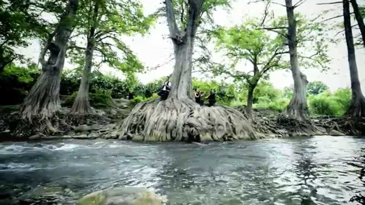 Orlando Elizalde - Cuanto me Ama - Video Oficial